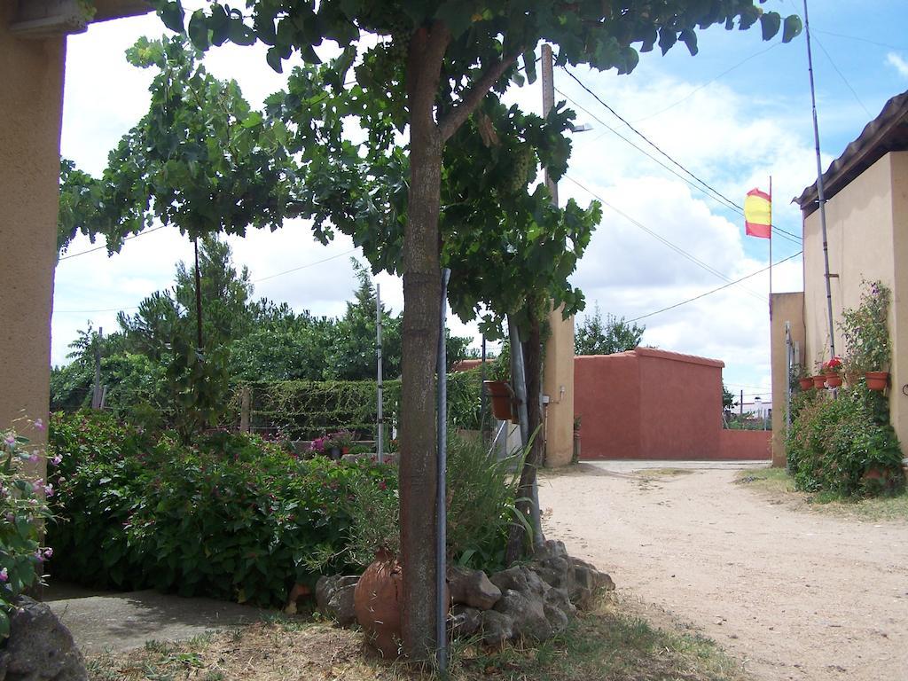 Turistico Torre De Sabre El Cubo de Tierra del Vino